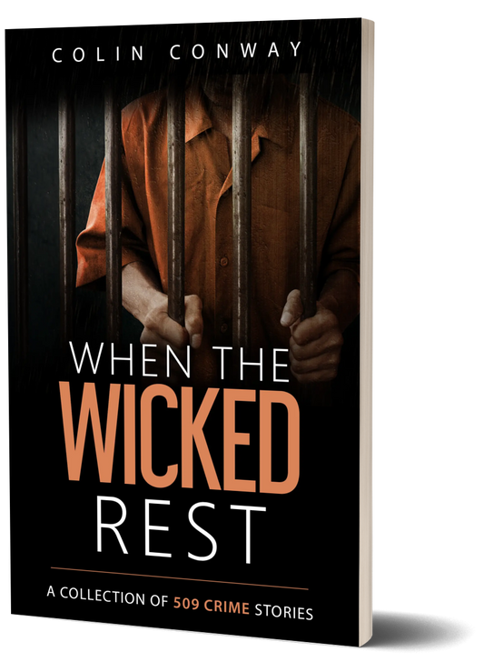 When the Wicked Rest (#14) - paperback