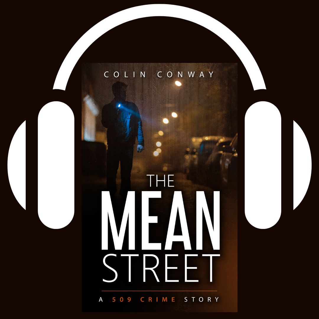 The Mean Street (#6) - audiobook